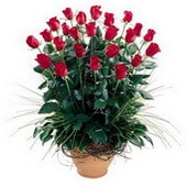 Ankara �entepe �i�ek�i firma �r�n�m�z  E�siz ve harukulade g�ller Ankara �i�ek g�nder firmas� �ahane �r�n�m�z 
