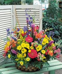 Kaliteli ve fiyat� ucuz bir �r�n  �zel Kar���k mevsim sepeti �i�e�i Ankara �i�ek g�nder firmas� �ahane �r�n�m�z 