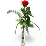 Ankara �i�ek sipari�i sitemizin g�rsel �r�n�  Camda sadece tek k�rm�z� g�l Ankara �i�ek g�nder firmas� �ahane �r�n�m�z 