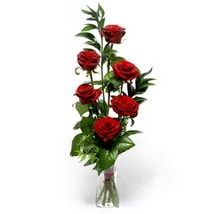 Ankara Yenimahalle �i�ek�i firma �r�n�m�z  vazo i�erisinde 5 adet g�l Ankara �i�ek g�nder firmas� �ahane �r�n�m�z 