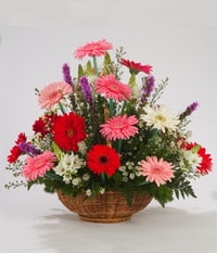 Ankara Yenimahalle �i�ek�i firma �r�n�m�z  Kar���k Gerbera mevsim sepeti �i�e�i Ankara �i�ek g�nder firmas� �ahane �r�n�m�z 