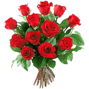canl� ve kanl� k�pk�rm�z� g�ller Ankara ostim �i�ek sipari�i firma �r�n�m�z  