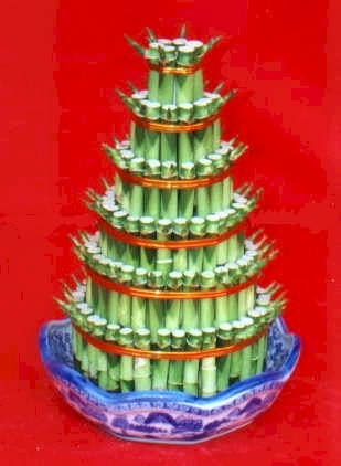 Ankara ostim �i�ek sipari�i firma �r�n�m�z  Lucky Bamboo �ans mele�i �i�e�i bambu �i�e�i